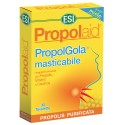 PROPOLAID PROPOLGOLA MASTICABLE MIEL 30 UNIDADES
