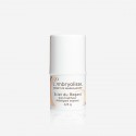 EMBRYOLISSE STICK EYE EFECTO HIELO 4,5 GRAMOS