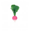 OLI&CAROL RAMONA THE RADISH