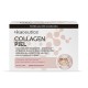VITACEUTICS COLLAGEN PIEL 30 VIALES 25 ML SABOR