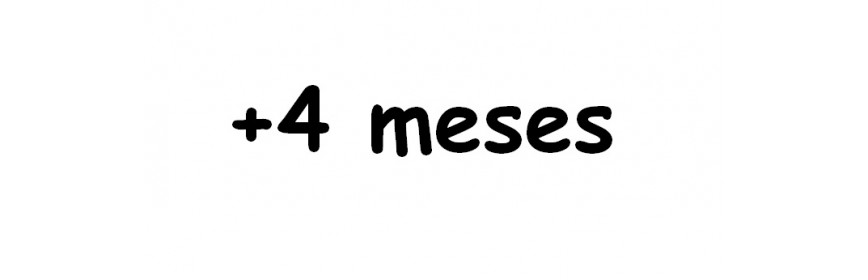 +4 MESES